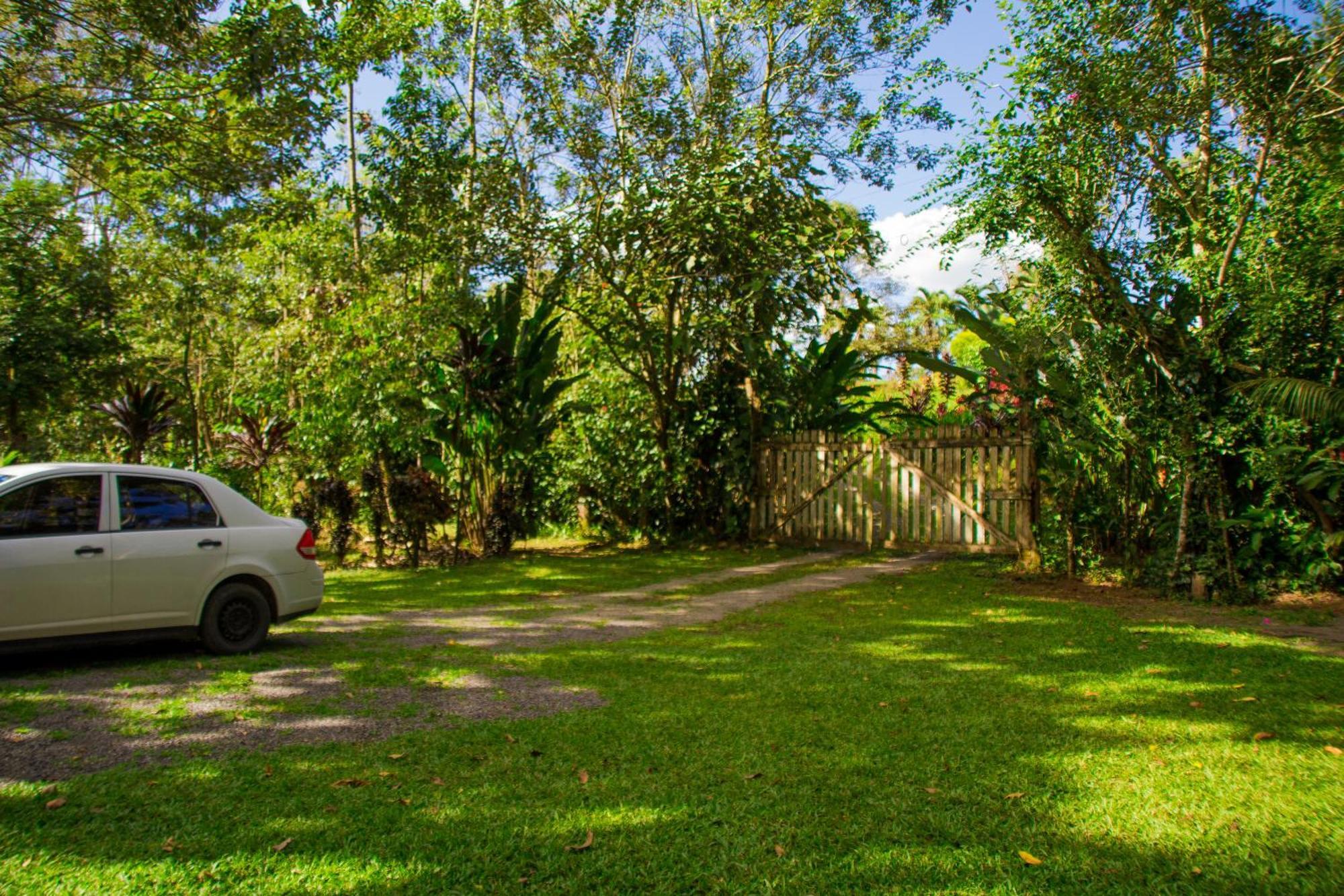 Eden Organic Farm & Bungalows La Fortuna Habitación foto